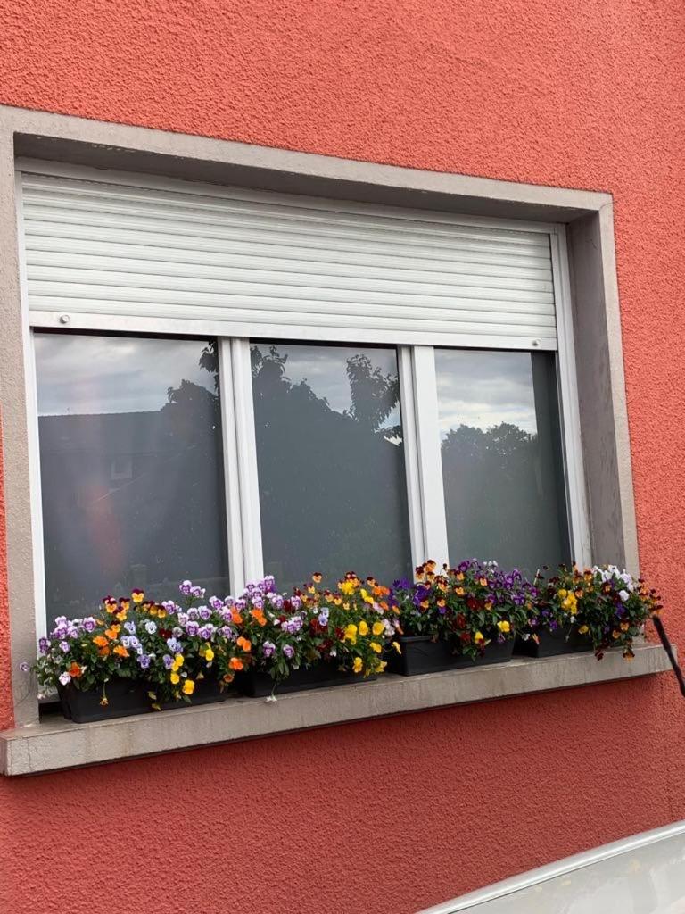 Couleur Framboise Lejlighed Longwy Eksteriør billede